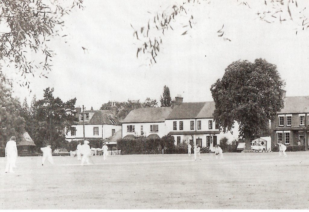 village green cricket