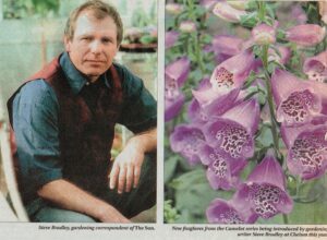Gardening correspondent of the Sun newspaper